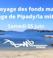 Nettoyage du littoral et des fonds marins Tour Royale - Pipady