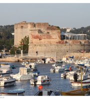 Collecte de déchets sauvages "Parce que Toulon...Rouge et Noir !"