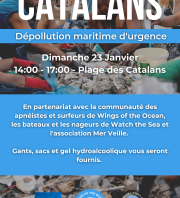 Première dépollution d'urgence des sentinelles du littoral marseillais et lancement de l'antenne de Marseille