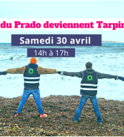 Les plages du Prado deviennent Tarpin Propre