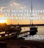 Collecte déchets Sauvages, Vieux Salins de Hyères