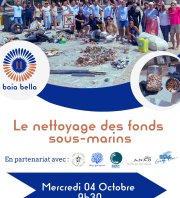 Nettoyage plage de la Petite Afrique