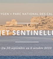 Projet Sentinelle Marine de l’Archipel du Frioul - J1