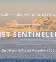 Projet Sentinelle Marine de l’Archipel du Frioul - J7