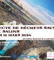 Collecte de Déchets Sauvages Vieux Salins à Hyères