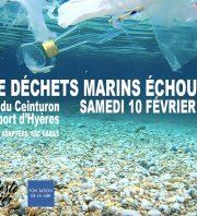 Collecte Déchets Marins Echoués Port Hyères