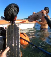 Opération Madrague - Calanques Propres 2025