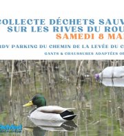 Collecte déchets rives du Roubaud