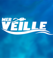 Veille Ta Mer - Nettoyage sur Corbière bis