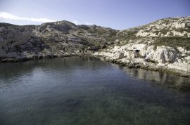 Plage du Port de Pomègues