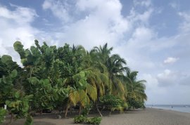 La plage du Coin (nord)