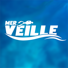 Veille ta mer