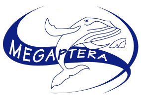 MEGAPTERA