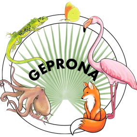 GEPRONA