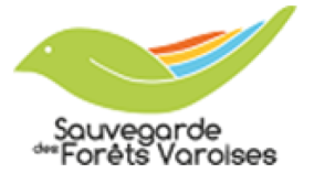 Sauvegarde des forêts Varoises