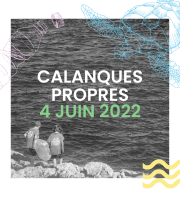 Calanques Propres - secteur Anse de la Maronaise avec MerTerre